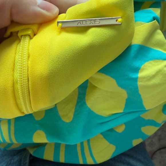 ALEXIS Bodhi Dress - Picture 5 of 7